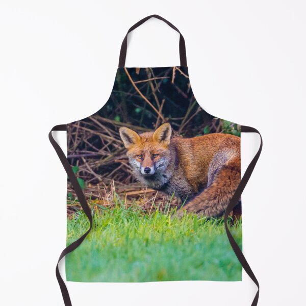Item preview, Curious Red Fox designed and sold by Dalyndigital Photography.