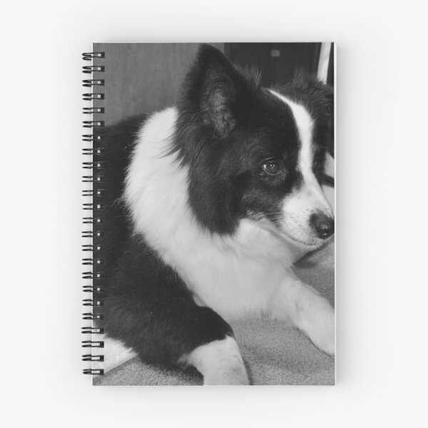 Item preview, Jess, a damaged dog. designed and sold by Meg Hart.