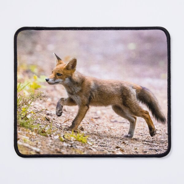 Item preview, Fox on the run designed and sold by Dalyndigital Photography.