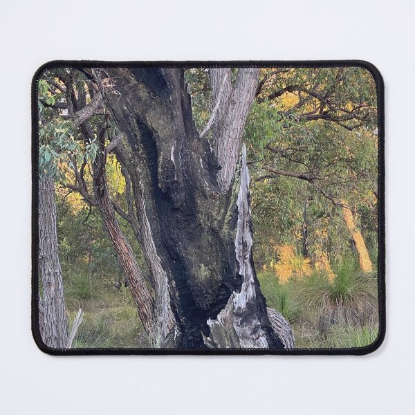 Item preview, light and shadows designed and sold by Lanie B Meyer.