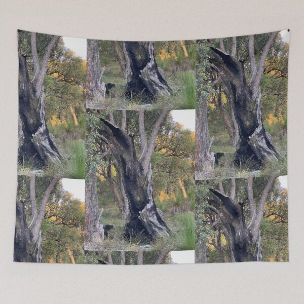 Item preview, light and shadows designed and sold by Lanie B Meyer.