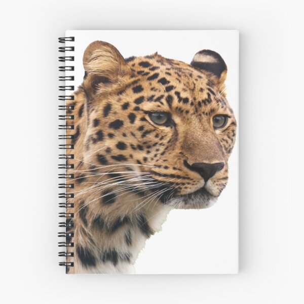 Item preview, Leopard designed and sold by Anemone Designer.