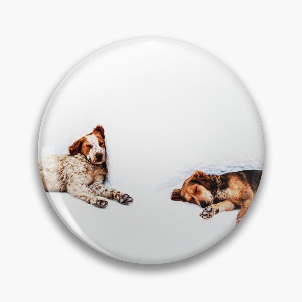 Item preview, It's A Dogs Life designed and sold by Paul Thompson Photography.