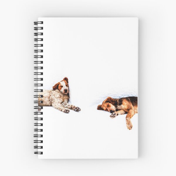 Item preview, It's A Dogs Life designed and sold by Paul Thompson Photography.