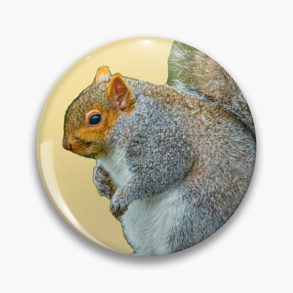 Item preview, Too many Nuts Squirrel designed and sold by Dalyndigital Photography.