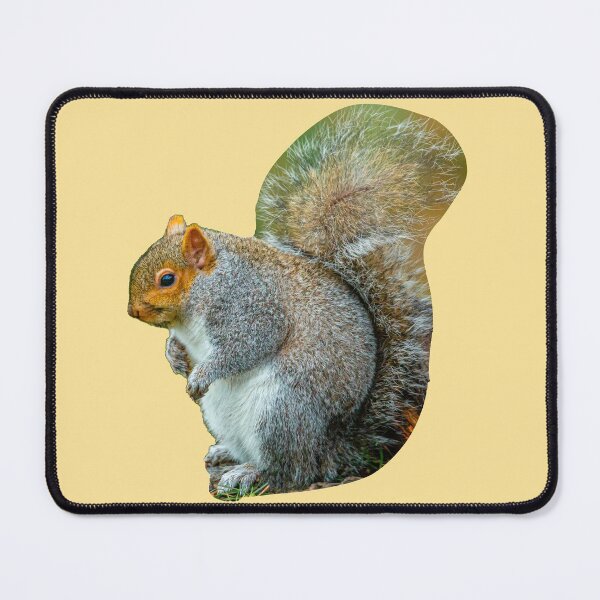 Item preview, Too many Nuts Squirrel designed and sold by Dalyndigital Photography.