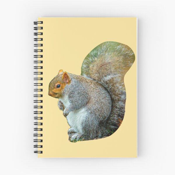 Item preview, Too many Nuts Squirrel designed and sold by Dalyndigital Photography.