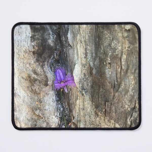 Artikelvorschau, Wildblumen in einem Baumstamm entworfen und verkauft von Lanie B Meyer.