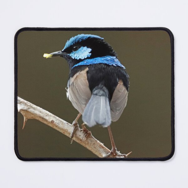 Item preview, Blue Wren 1824 designed and sold by Simon King.