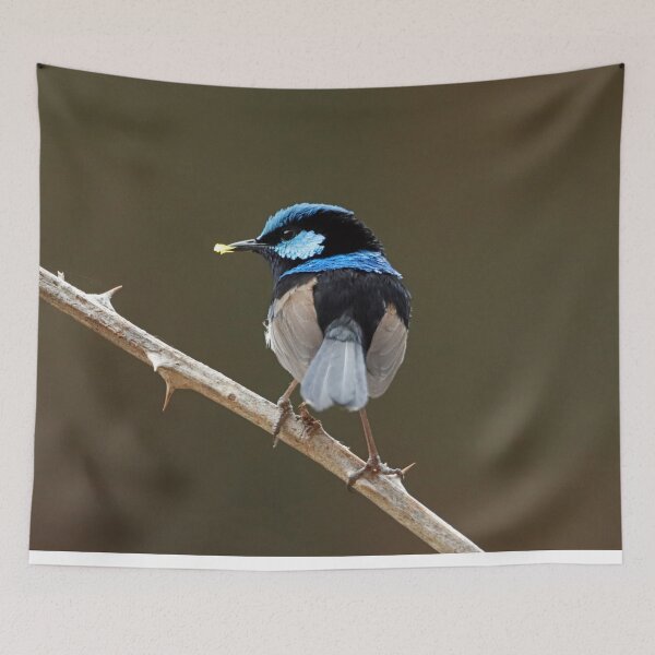 Item preview, Blue Wren 1824 designed and sold by Simon  King.