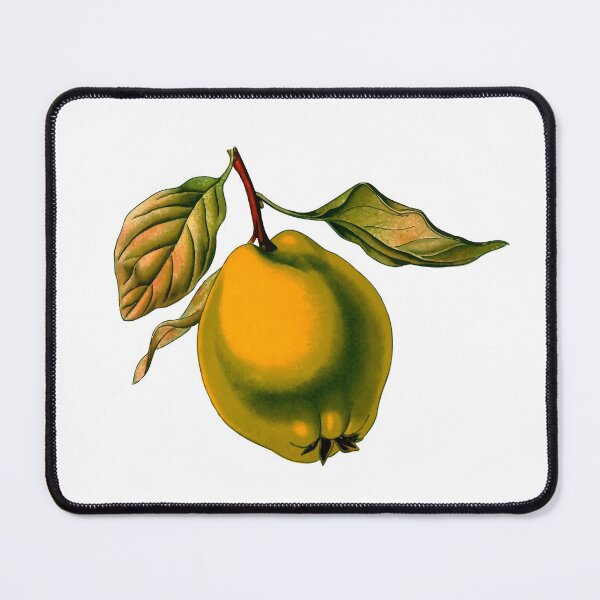 Item preview, Reality designed and sold by COLORFULEMOJI.