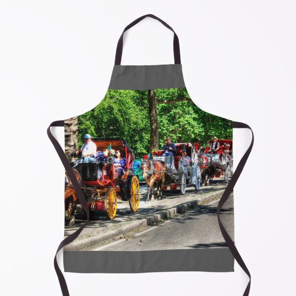 Item preview, Central Park Carriage Ride designed and sold by Paul Thompson Photography.