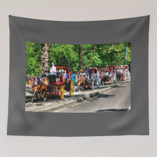 Item preview, Central Park Carriage Ride designed and sold by Paul Thompson Photography.