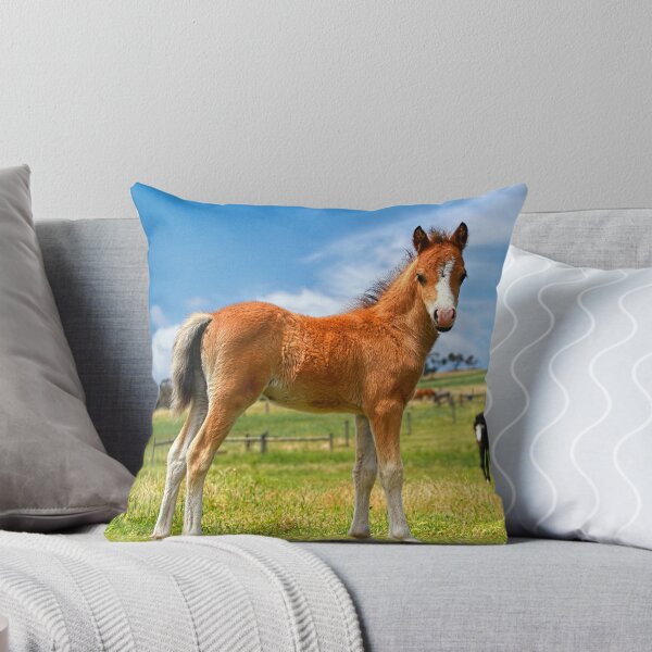 Item preview, Welsh Mountain Foal designed and sold by Rivington.