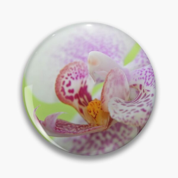 Item preview, Orchid designed and sold by Calidris Fotografie Steffi & Ben Köppler.