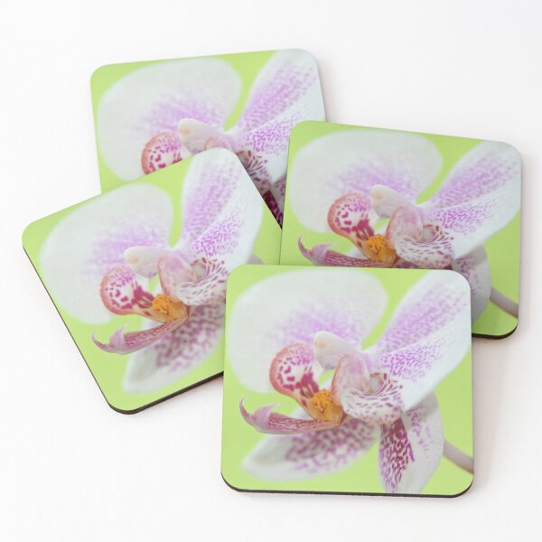 Item preview, Orchid designed and sold by Calidris Fotografie Steffi & Ben Köppler.