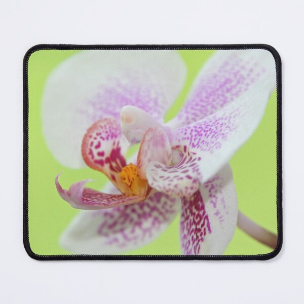 Item preview, Orchid designed and sold by Calidris Fotografie Steffi & Ben Köppler.