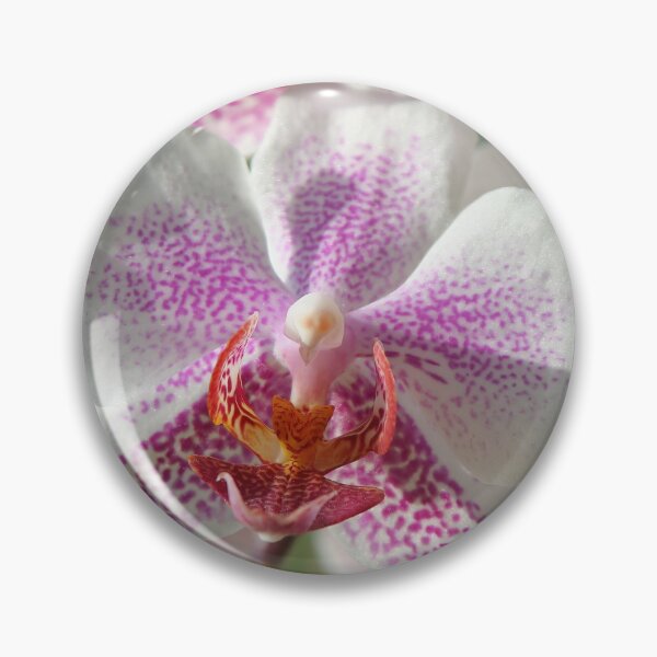 Item preview, Orchid designed and sold by Calidris Fotografie Steffi & Ben Köppler.