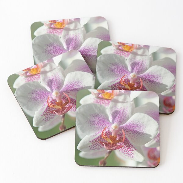 Item preview, Orchid designed and sold by Calidris Fotografie Steffi & Ben Köppler.