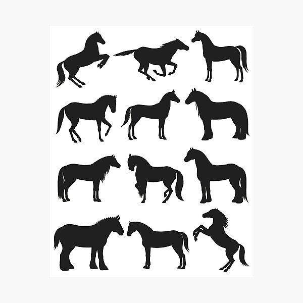 Aperçu de l'œuvre les chevaux créée et vendue par Jumty13.