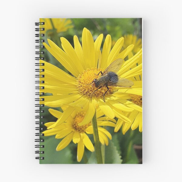 Artikelvorschau, Blume unter der Fliege entworfen und verkauft von Seboux.