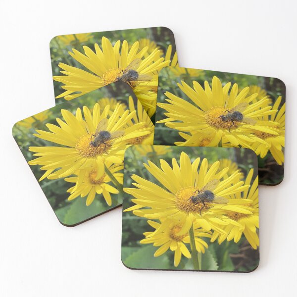 Item preview, Flower under fly designed and sold by Seboux.