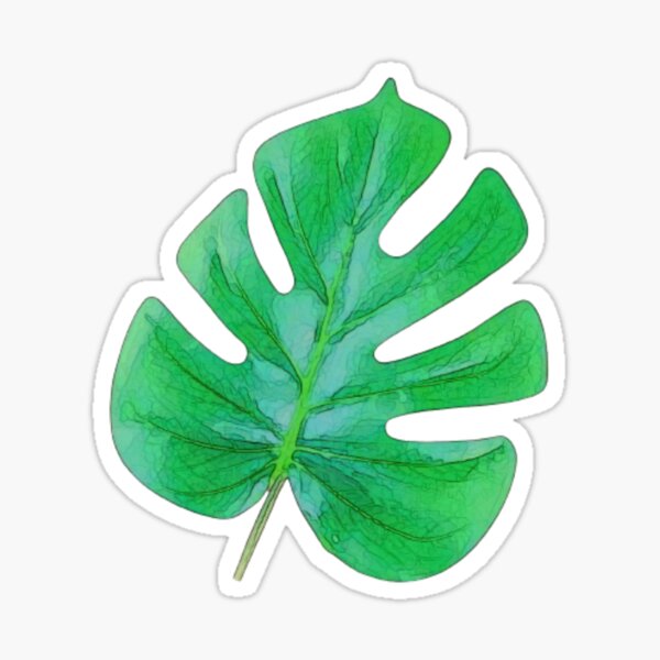 Monstera leaves Sticker