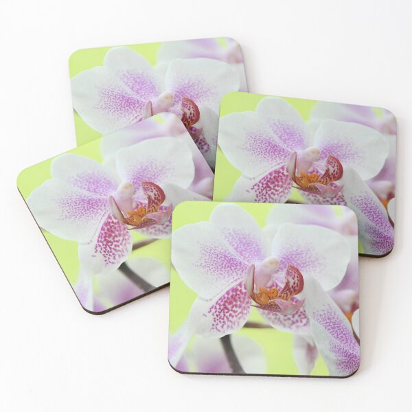 Artikelvorschau, Orchidee entworfen und verkauft von Calidris Fotografie Steffi & Ben Köppler.