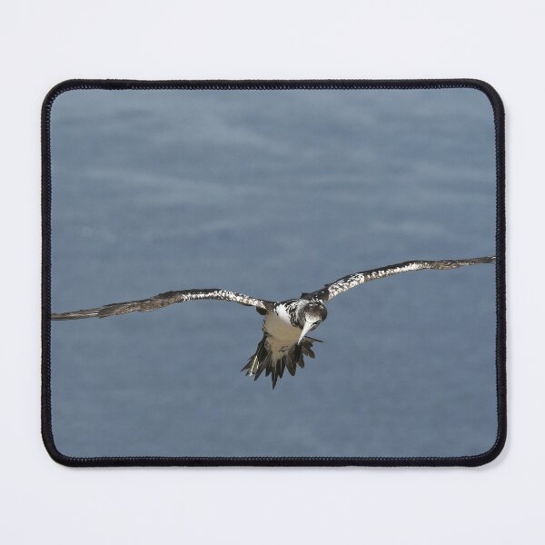Item preview, Flying Gannet designed and sold by rwhooster.