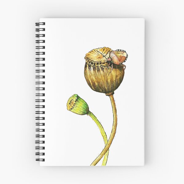 Item preview, Poppy Seeds with Hairy Shieldbug in watercolour designed and sold by Egle Kristensen.