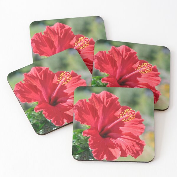 Item preview, Hibiscus designed and sold by Calidris Fotografie Steffi & Ben Köppler.