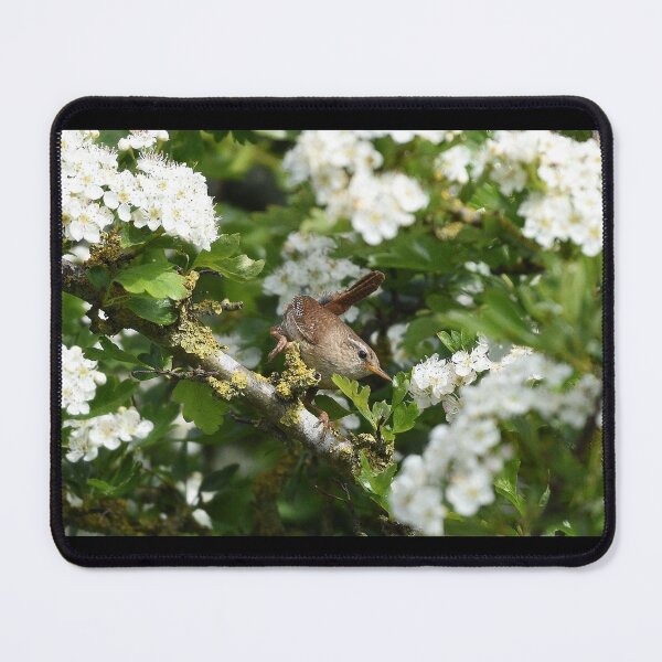 Item preview, Wren and Blossom designed and sold by rwhooster.