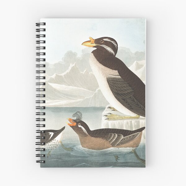 Item preview,  Ancient Murrelet, Kittlitz's Murrelet, Least Auklet, Crested Auklet and Rhinoceros Auklet- John James Audubon  designed and sold by billythekidtees.