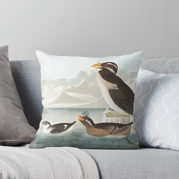 Item preview,  Ancient Murrelet, Kittlitz's Murrelet, Least Auklet, Crested Auklet and Rhinoceros Auklet- John James Audubon  designed and sold by billythekidtees.