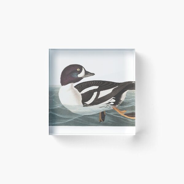 Item preview,  Barrow's Goldeneye - John James Audubon  designed and sold by billythekidtees.
