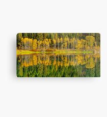 Herbst Reflexionen im Pend Oreille Metallbild