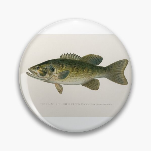 Aperçu de l'œuvre Le Black Bass à petite bouche créée et vendue par NewCreationPro.