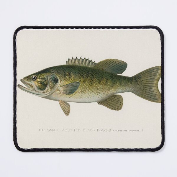 Item preview, The Small-Mouthed Black Bass Fish designed and sold by NewCreationPro.