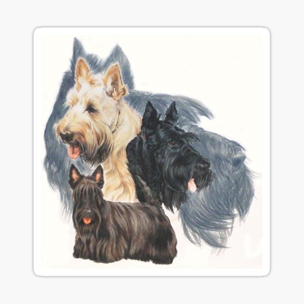 Item preview, Scottish Terrier Grouping designed and sold by BarbBarcikKeith.