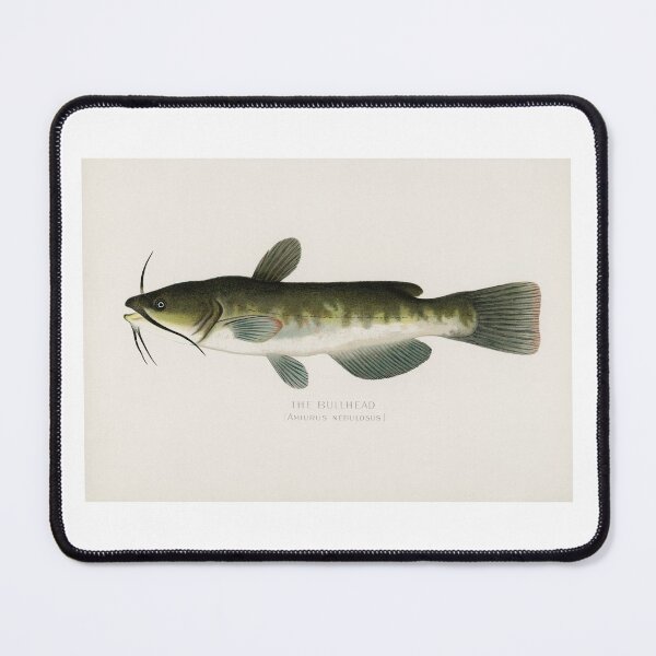 Item preview, Bullhead Catfish designed and sold by NewCreationPro.