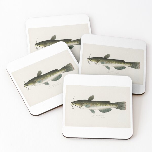 Item preview, Bullhead Catfish designed and sold by NewCreationPro.