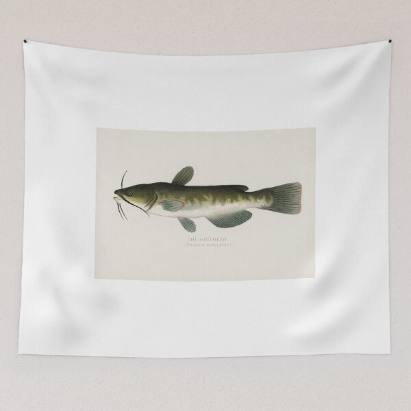 Item preview, Bullhead Catfish designed and sold by NewCreationPro.