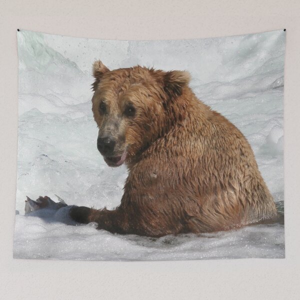 Item preview, Panoramic,widescreen prints,canvas,posters,canvas prints,metal,  Tapestries,Tapestry,throw blanket ,waterfall art, waterfall prints, canvas art,wall art, pictures designed and sold by eyesight4vision.