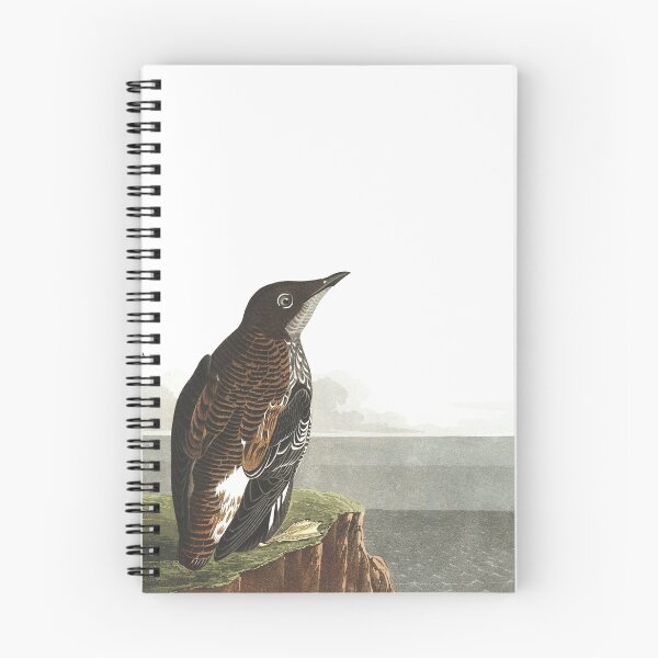 Item preview, Marbled Murrelet - John James Audubon  designed and sold by billythekidtees.