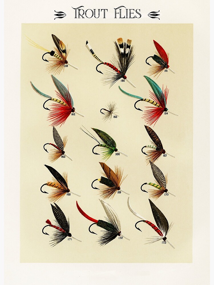 The Classic Trout Flies Collection Art Board Print for Sale by