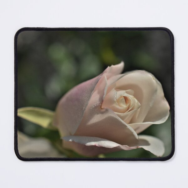 Item preview, Pale Pink rose bud photograph designed and sold by PuzbieArts.