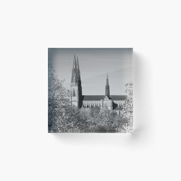 Item preview, Uppsala Cathedral, Black and White designed and sold by BnW-Vision.