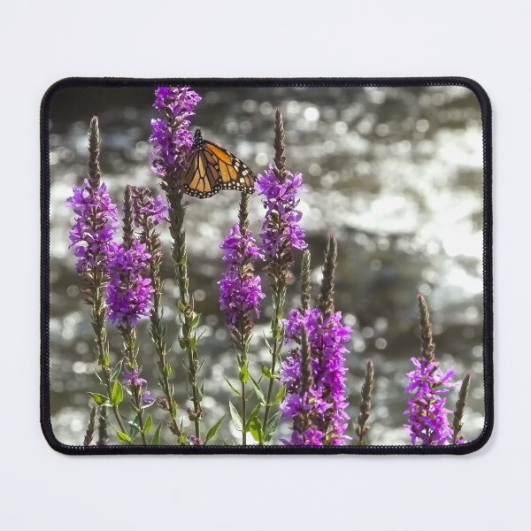 Item preview, Monarch striding the lavenders designed and sold by Joel Bader.