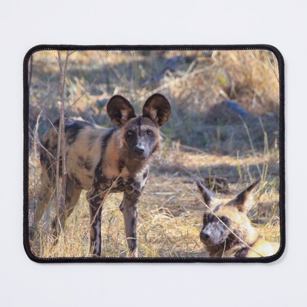 Item preview, Two African wild dogs in Moremi Game Reserve, Botswana designed and sold by SafariByMarisa.