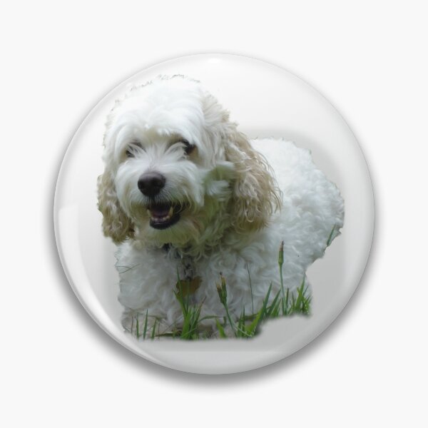 Artikelvorschau, Cockapoo im Gras entworfen und verkauft von Inspirational Creations.